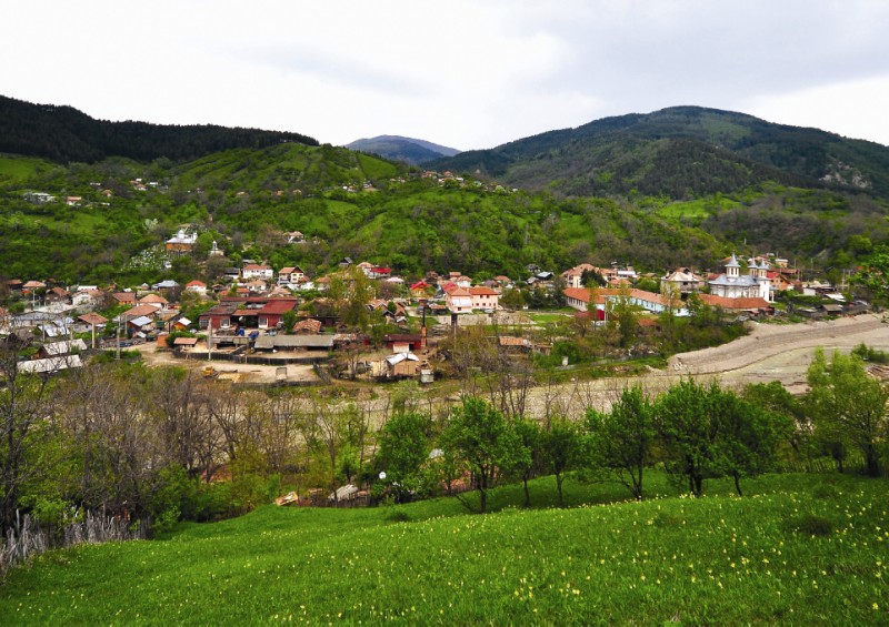 Localitatea natală - Lopătari